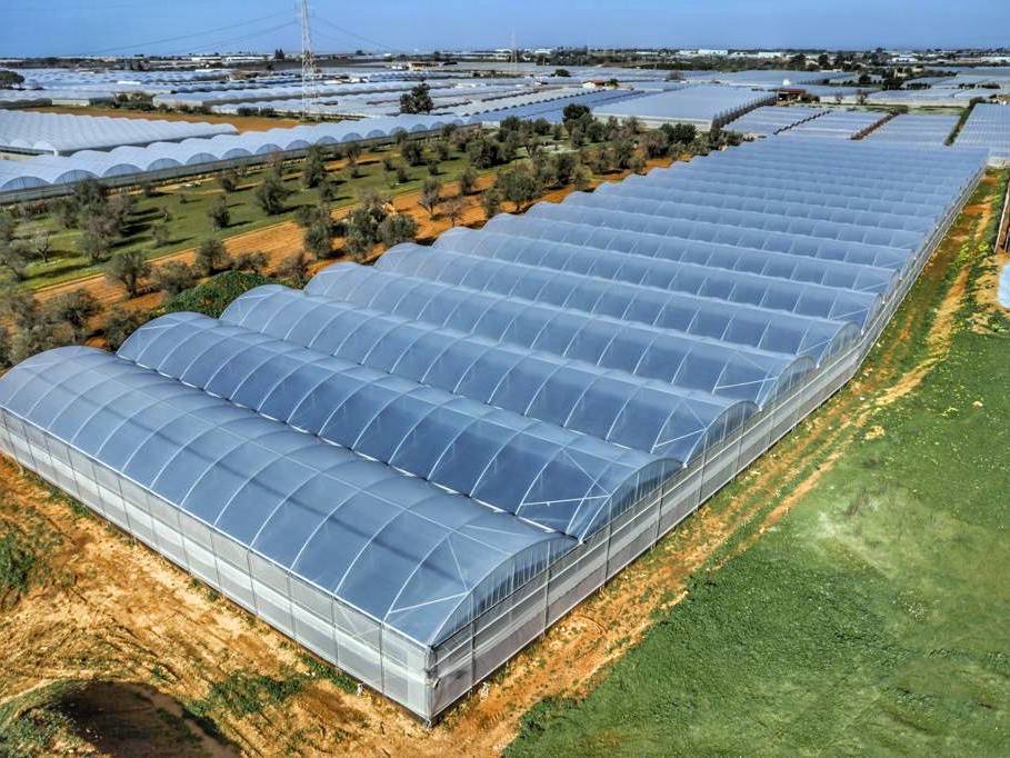 il nostro territorio fratelli nei